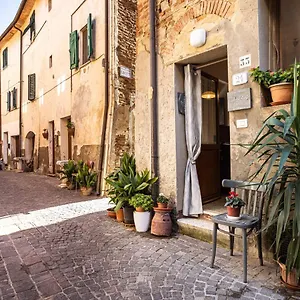 Angolo Della Cei Terricciola