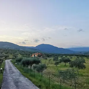 L'ulivo Burgio Villa Burgio (Agrigento)